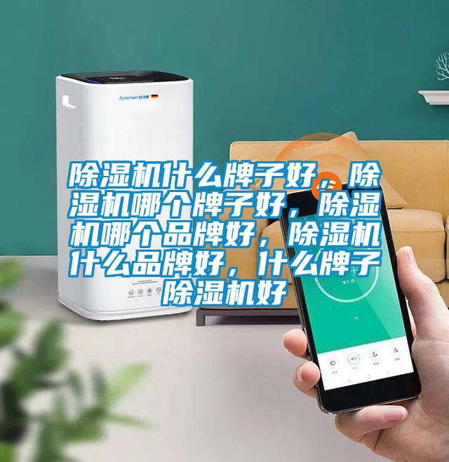 除濕機(jī)什么牌子好，除濕機(jī)哪個(gè)牌子好，除濕機(jī)哪個(gè)品牌好，除濕機(jī)什么品牌好，什么牌子除濕機(jī)好