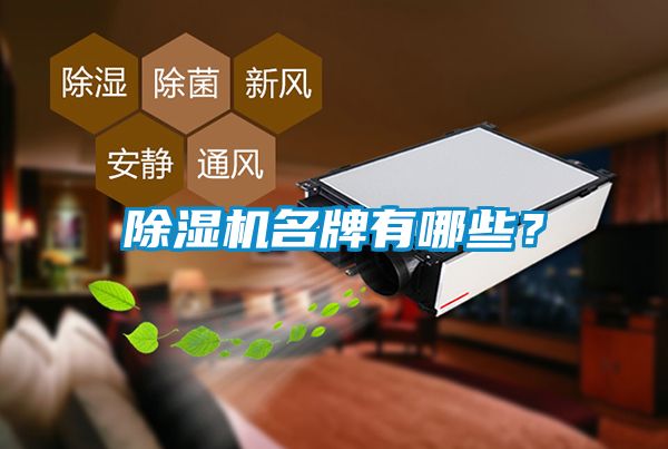 除濕機(jī)名牌有哪些？