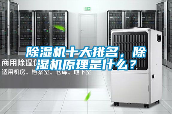 除濕機(jī)十大排名，除濕機(jī)原理是什么？