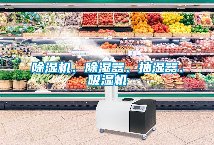 除濕機(jī)、除濕器、抽濕器、吸濕機(jī)