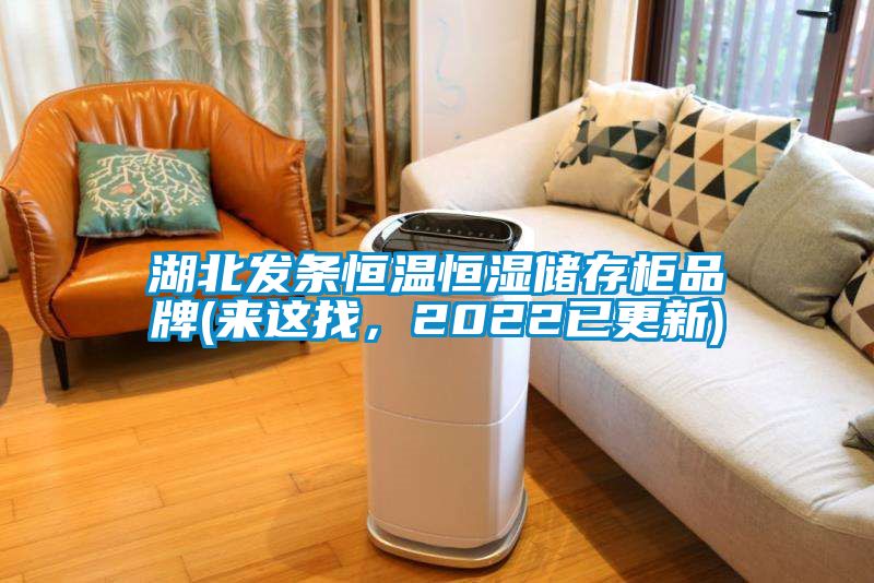 湖北發(fā)條恒溫恒濕儲存柜品牌(來這找，2022已更新)