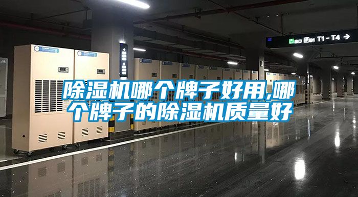 除濕機哪個牌子好用,哪個牌子的除濕機質(zhì)量好