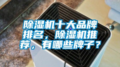 除濕機十大品牌排名，除濕機推薦，有哪些牌子？