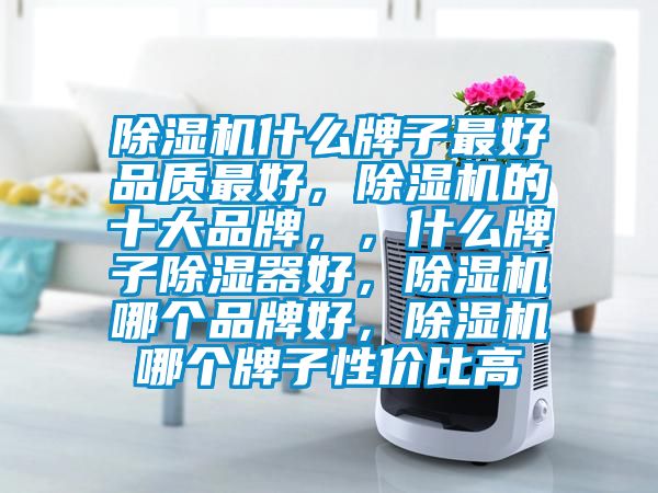 除濕機(jī)什么牌子最好品質(zhì)最好，除濕機(jī)的十大品牌，，什么牌子除濕器好，除濕機(jī)哪個(gè)品牌好，除濕機(jī)哪個(gè)牌子性價(jià)比高