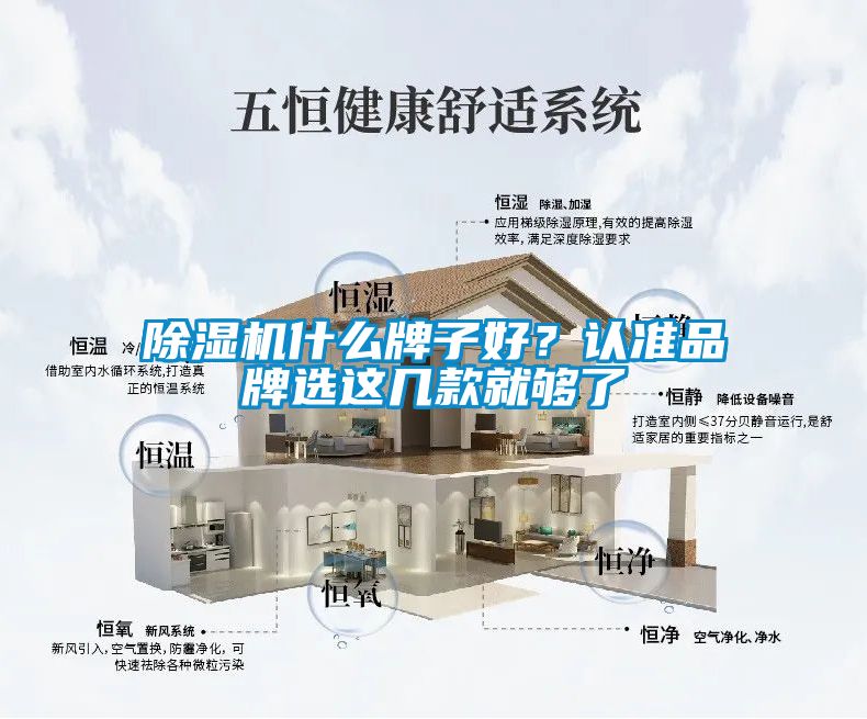 除濕機(jī)什么牌子好？認(rèn)準(zhǔn)品牌選這幾款就夠了