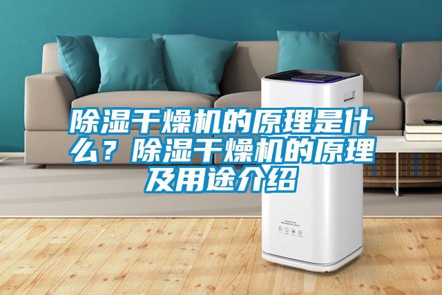 除濕干燥機的原理是什么？除濕干燥機的原理及用途介紹