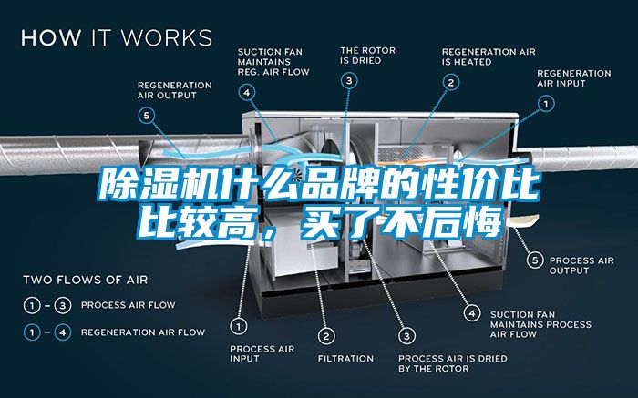 除濕機(jī)什么品牌的性?xún)r(jià)比比較高，買(mǎi)了不后悔