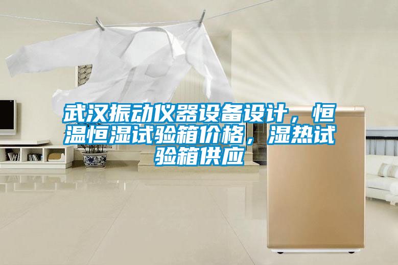 武漢振動(dòng)儀器設(shè)備設(shè)計(jì)，恒溫恒濕試驗(yàn)箱價(jià)格，濕熱試驗(yàn)箱供應(yīng)