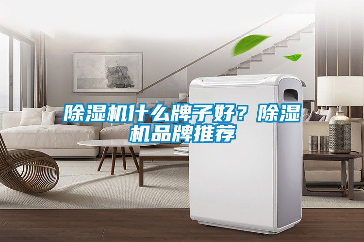 除濕機(jī)什么牌子好？除濕機(jī)品牌推薦
