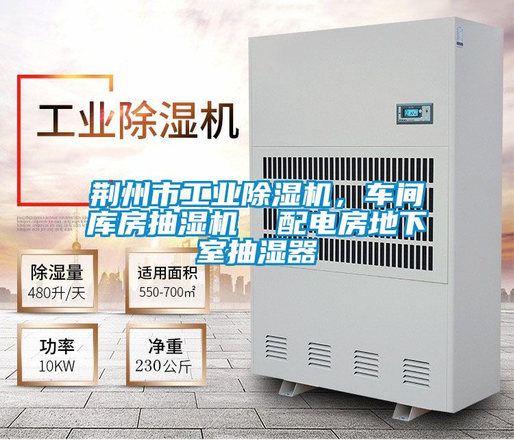 荊州市工業(yè)除濕機(jī)，車間庫房抽濕機(jī)  配電房地下室抽濕器