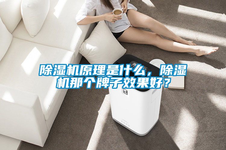 除濕機(jī)原理是什么，除濕機(jī)那個(gè)牌子效果好？