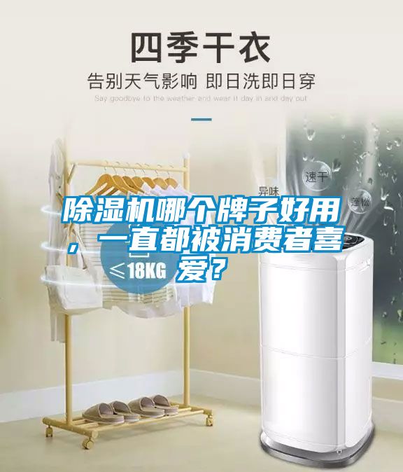 除濕機(jī)哪個牌子好用，一直都被消費(fèi)者喜愛？