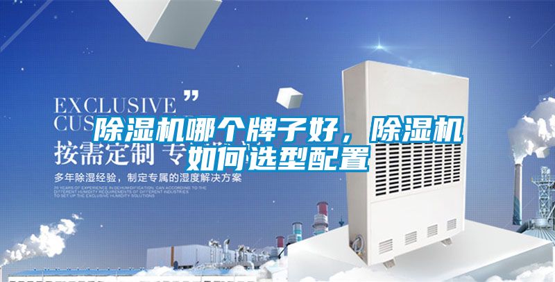 除濕機(jī)哪個(gè)牌子好，除濕機(jī)如何選型配置