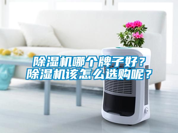 除濕機(jī)哪個(gè)牌子好？除濕機(jī)該怎么選購(gòu)呢？