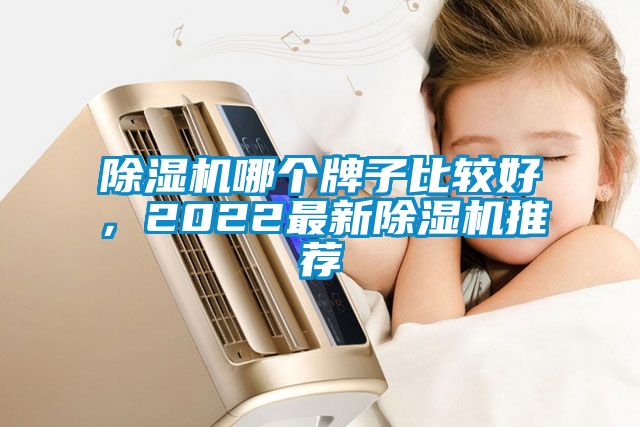 除濕機(jī)哪個(gè)牌子比較好，2022最新除濕機(jī)推薦