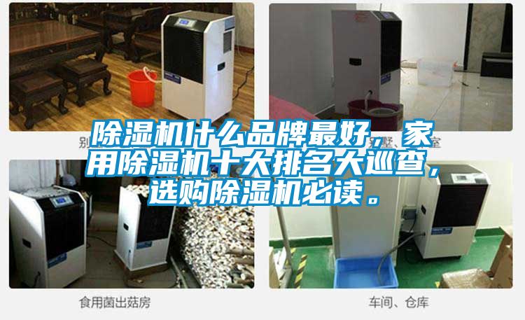 除濕機(jī)什么品牌最好，家用除濕機(jī)十大排名大巡查，選購除濕機(jī)必讀。