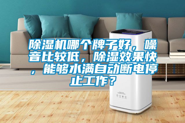 除濕機哪個牌子好，噪音比較低，除濕效果快，能夠水滿自動斷電停止工作？