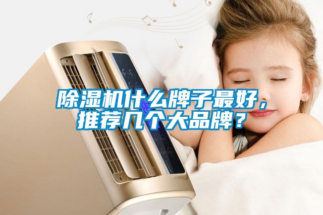 除濕機(jī)什么牌子最好，推薦幾個大品牌？