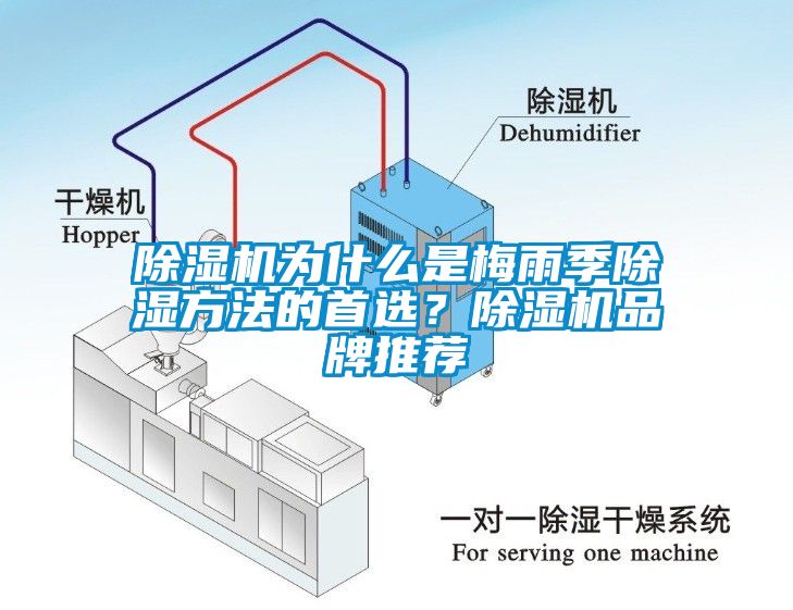 除濕機為什么是梅雨季除濕方法的首選？除濕機品牌推薦