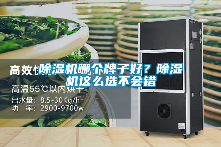 除濕機(jī)哪個(gè)牌子好？除濕機(jī)這么選不會(huì)錯(cuò)