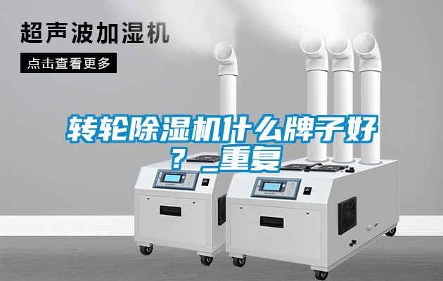 轉(zhuǎn)輪除濕機(jī)什么牌子好？_重復(fù)