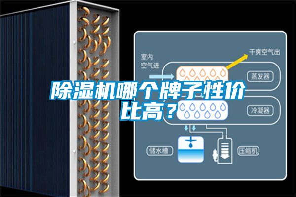 除濕機(jī)哪個(gè)牌子性價(jià)比高？