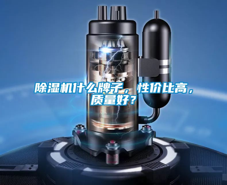 除濕機(jī)什么牌子，性價(jià)比高，質(zhì)量好？