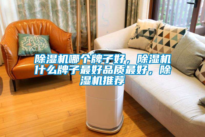 除濕機(jī)哪個(gè)牌子好，除濕機(jī)什么牌子最好品質(zhì)最好，除濕機(jī)推薦