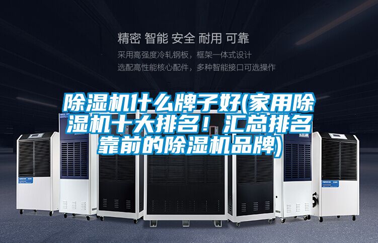 除濕機(jī)什么牌子好(家用除濕機(jī)十大排名！匯總排名靠前的除濕機(jī)品牌)