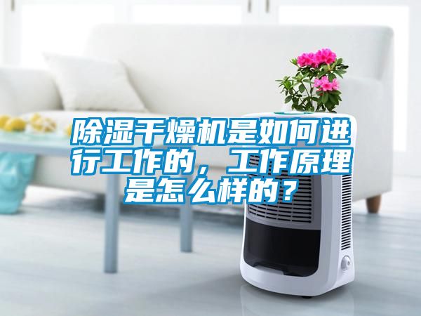 除濕干燥機(jī)是如何進(jìn)行工作的，工作原理是怎么樣的？