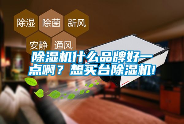 除濕機什么品牌好一點??？想買臺除濕機!