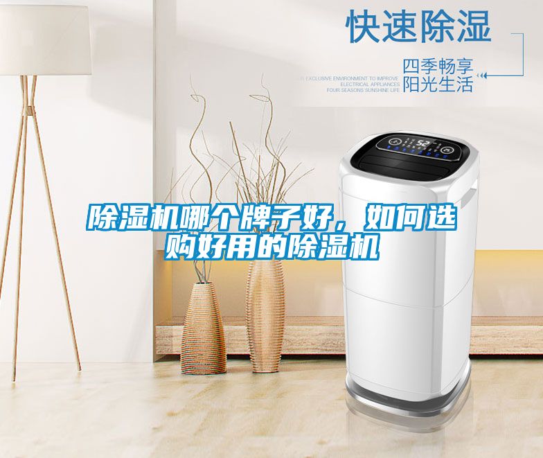 除濕機哪個牌子好，如何選購好用的除濕機