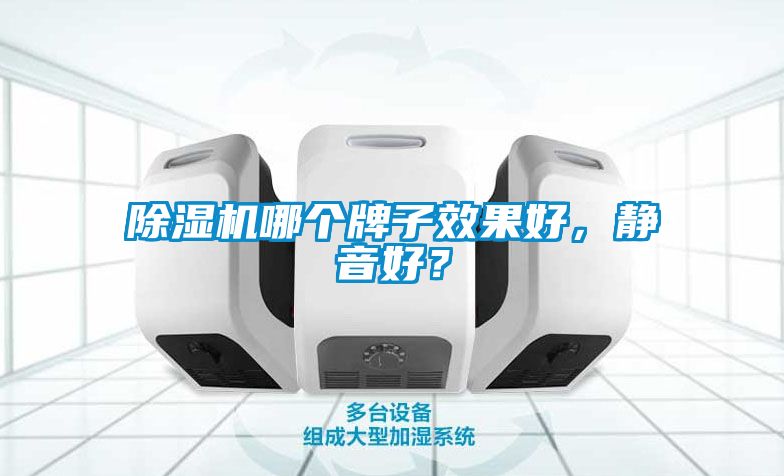 除濕機(jī)哪個(gè)牌子效果好，靜音好？