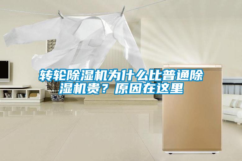 轉輪除濕機為什么比普通除濕機貴？原因在這里