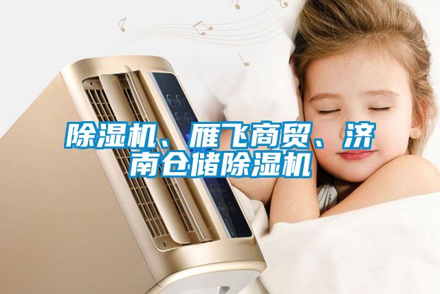 除濕機(jī)、雁飛商貿(mào)、濟(jì)南倉儲除濕機(jī)