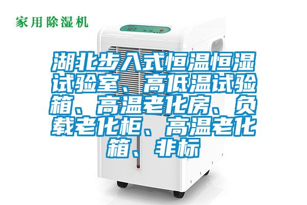 湖北步入式恒溫恒濕試驗室、高低溫試驗箱、高溫老化房、負(fù)載老化柜、高溫老化箱、非標(biāo)