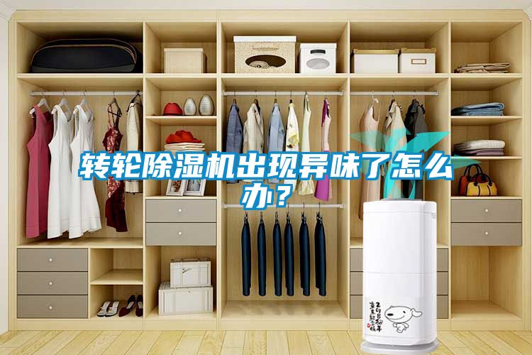 轉(zhuǎn)輪除濕機(jī)出現(xiàn)異味了怎么辦？