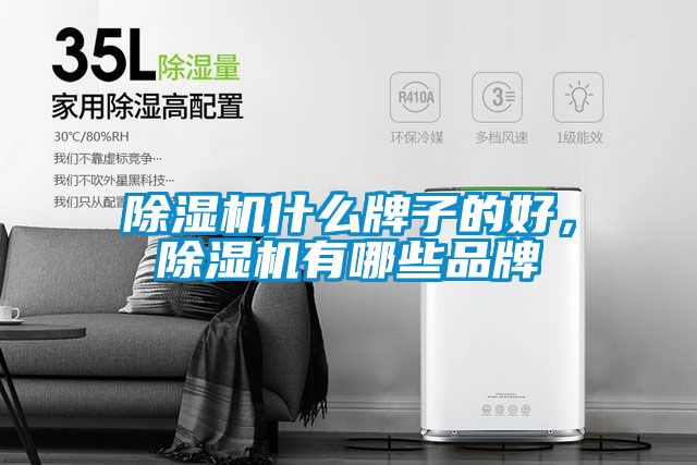除濕機什么牌子的好，除濕機有哪些品牌