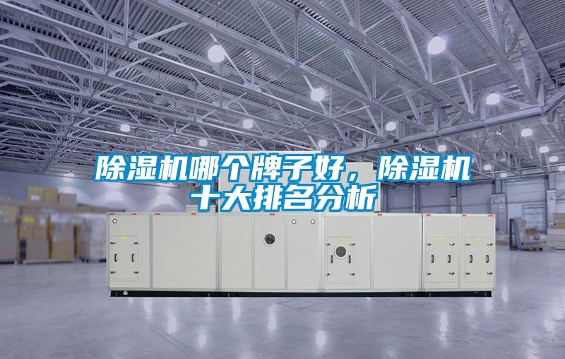除濕機哪個牌子好，除濕機十大排名分析