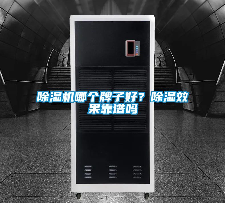 除濕機(jī)哪個(gè)牌子好？除濕效果靠譜嗎