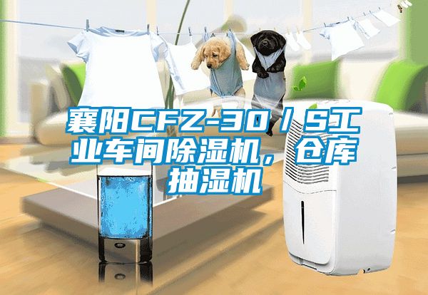 襄陽CFZ-30／S工業(yè)車間除濕機，倉庫抽濕機