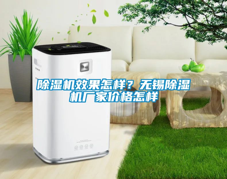 除濕機(jī)效果怎樣？無錫除濕機(jī)廠家價(jià)格怎樣