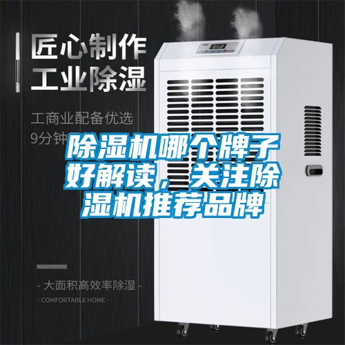 除濕機哪個牌子好解讀，關注除濕機推薦品牌