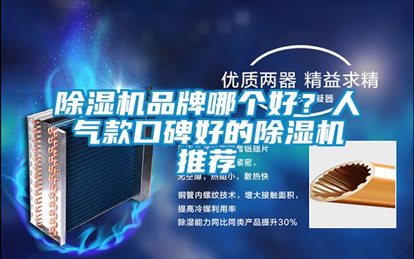 除濕機(jī)品牌哪個(gè)好？人氣款口碑好的除濕機(jī)推薦