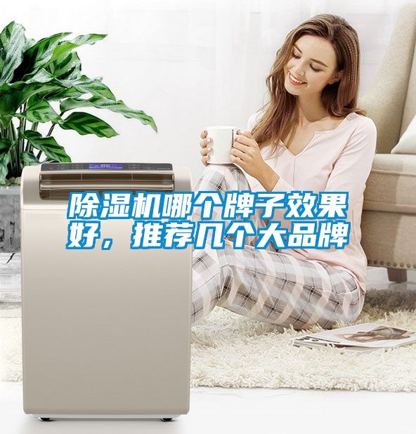 除濕機(jī)哪個(gè)牌子效果好，推薦幾個(gè)大品牌