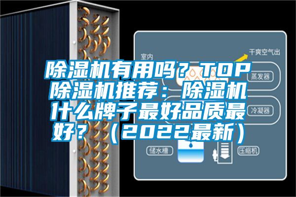 除濕機有用嗎？TOP除濕機推薦：除濕機什么牌子最好品質(zhì)最好？（2022最新）