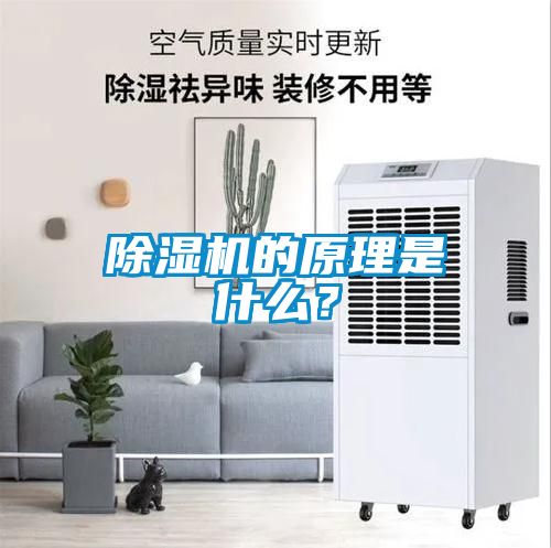 除濕機的原理是什么？