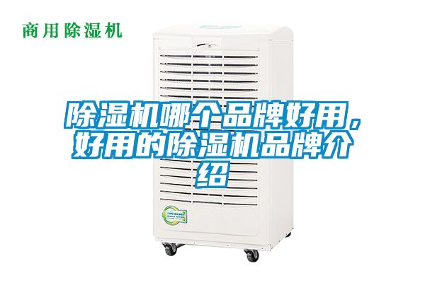 除濕機(jī)哪個品牌好用，好用的除濕機(jī)品牌介紹