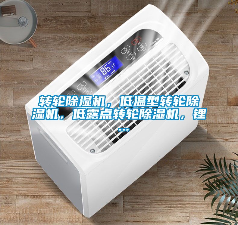 轉(zhuǎn)輪除濕機(jī)，低溫型轉(zhuǎn)輪除濕機(jī)，低露點(diǎn)轉(zhuǎn)輪除濕機(jī)，鋰 ...