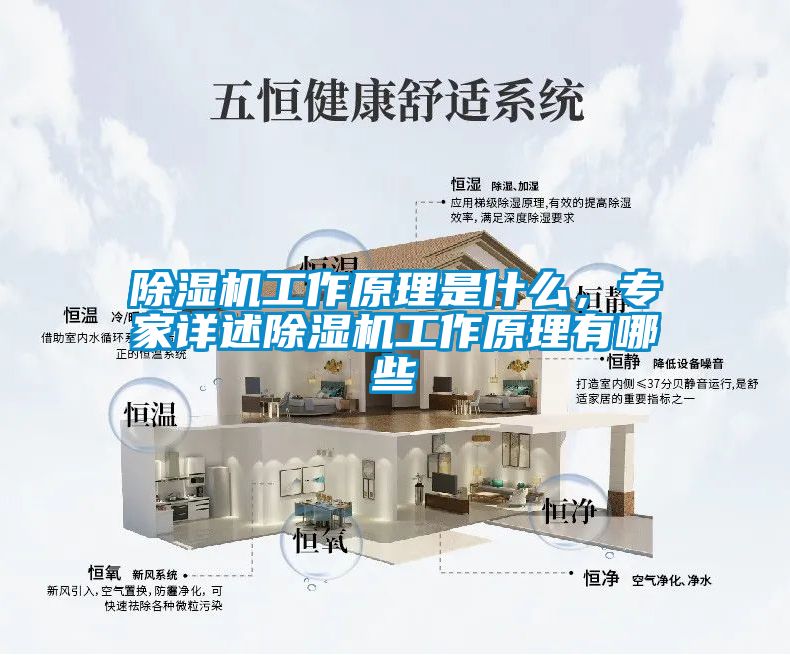 除濕機(jī)工作原理是什么，專家詳述除濕機(jī)工作原理有哪些